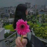shivi (@shiyanshi_01) 's Twitter Profile