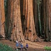 n42556831's profile picture. 