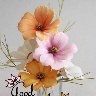 Priyank17166321's profile picture. 