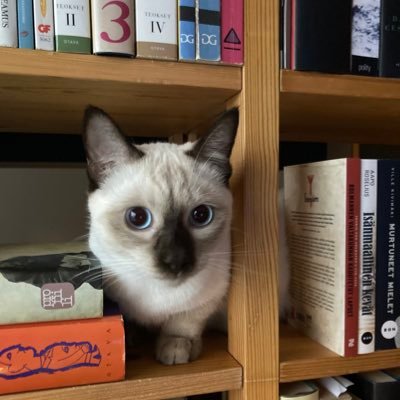 minttimaa's profile picture. Tietokirjailija. Kolumnisti. Äiti.