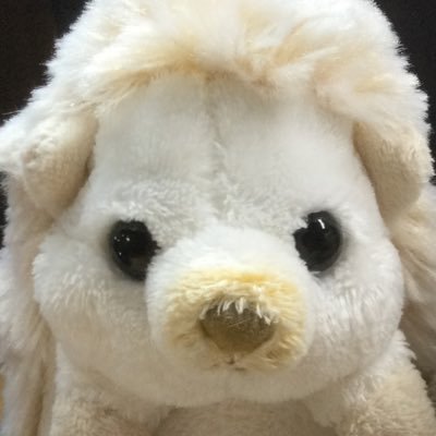 ishisato77's profile picture. 