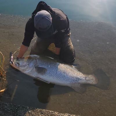 大きさ問わず自分にとって価値のある魚を釣る。
全然更新しないと噂のYouTubeはこちらから( ﾟдﾟ)