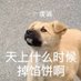 Zaizaizaizai (@longzaizai_) Twitter profile photo Zaizaizaizai (@longzaizai_) Twitter profile photo