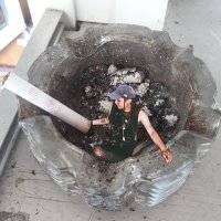 чарли (@charloddker) 's Twitter Profile