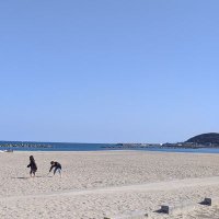 madoka (@00madoka00) 's Twitter Profile Photo