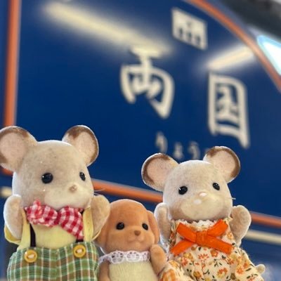 #奥野奏 #靴磨き芸人 #スキマスイッチ #シルバニアファミリー #SylvanianFamilies #CalicoCritters #カメラ #靴 #Amavel #ガチャポン #焼肉ライク 等を愛でております。中国語超初心者😂可愛い物と面白い事が好きな人と仲良くなりたいです💕無言フォロー失礼します💦