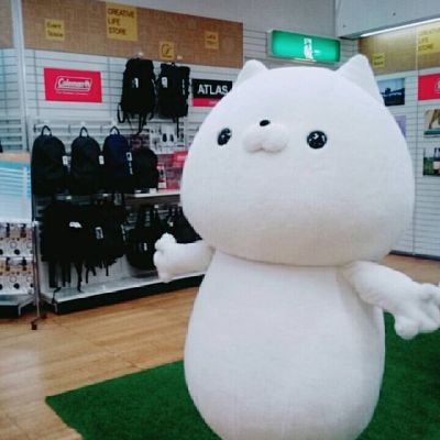 Sn1jQQPTkjXZBgl's profile picture. 