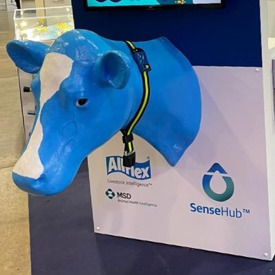 Area Development Manager (North) MSD Animal Health @allflexuk | SenseHub Cow Monitoring🐄 &🐂 | DataFlow Milking Tech | Expert in training! |Views are my own