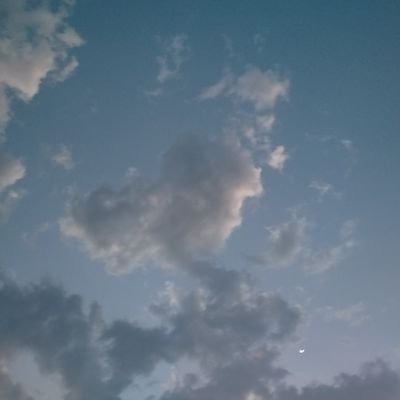 asbiasdiasy's profile picture. an archive ♥️ of literally nothing ✨