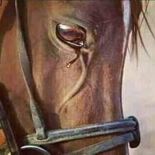 الُلُهّ اخِذِ ؤٌالُلُهّ عّطِئ ؤٌالُلُهّ كرًيّمُ ..🍂