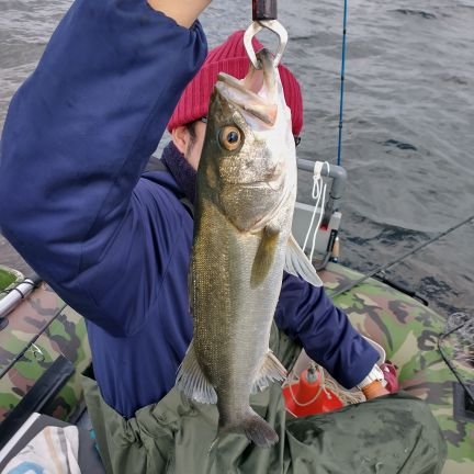 会社員です。

釣り大好きです！！
主にシーバスとハゼを日々追いかけてます！

お笑い芸人の元祖いちごちゃん、バベコンブの隠れファンです。