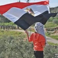 الداعي الي الله (@n331720) Twitter profile photo