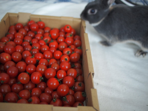 kubota2501's profile picture. 馬連とワイドを1点で買う。絞りきれなくても、せいぜい3点。絞った方が投資金額を大きく出来るから、リターンが大きい。