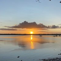 Yagisan (@stllion121) 's Twitter Profile Photo