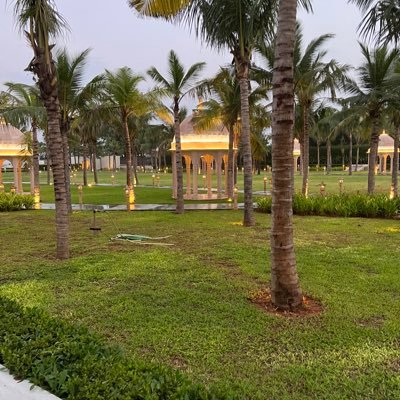 TanushR62393775's profile picture. 