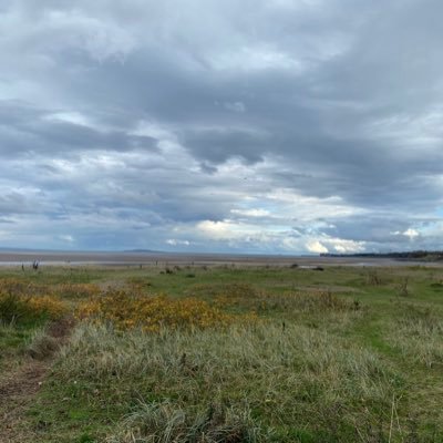 dedalodreamer's profile picture. 