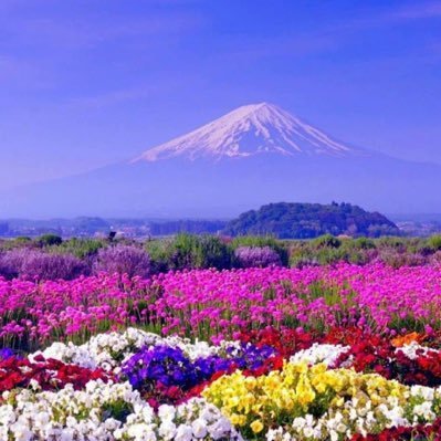 eren2acik's profile picture. Vicdani Red - Totale Kriegsdienstverweigerung (TKDV)