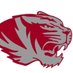 NevadaTigerBBall (@NHS_BballTigers) Twitter profile photo