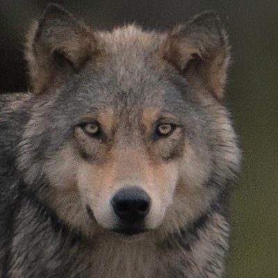 BryanDenning7's profile picture. 