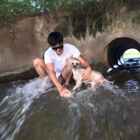WC quay lén (@hoisn48433772) 's Twitter Profile
