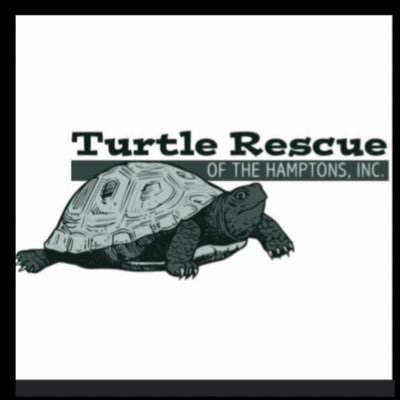 Dedicated to preserve and protect the regions native wildlife and natural habitats by providing rehabilitation for sick and injured native turtles. 501(c)3