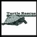 Turtle Rescue of the Hamptons (@turtledoctors) Twitter profile photo