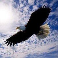 Abiola (@abiola06473143) 's Twitter Profile