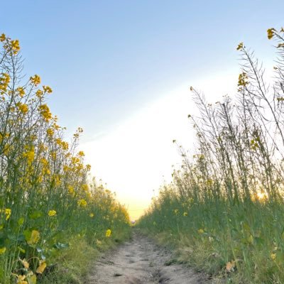 AchanMrym's profile picture. 