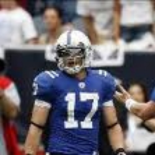 A_Collie17's profile picture. 