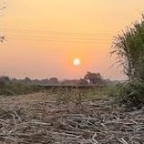 _Bpravin's profile picture. 