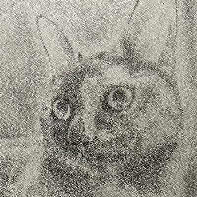 frightcat's profile picture. 手フェチです レトロゲームコレクター　無言フォロー失礼します