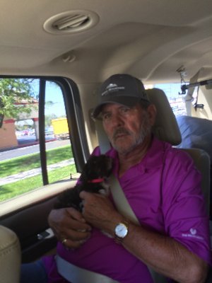 Dog fanatic, golf, guns, American Patriot, Notpc, Wyoming proud, NO PORN, I DO NOT DM, my dog is smarter than Joe Biden #PatriotParty. #Bidencheated