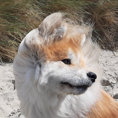 Biyuu0904's profile picture. 