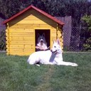 Thomas Egger - @tegger94 - Twitter