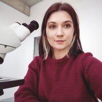 Mariia Panko (@mariia_panko) 's Twitter Profile