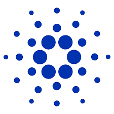 LOVECARDANO0's profile picture. 投資スタート。カルダノの情報を追って発信していきたいです。カルダノに興味があればフォロー是非よろしくお願いします！