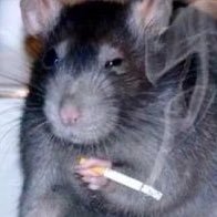 eleannaelel's profile picture. sono tanto rilassata che mi faccio schifo