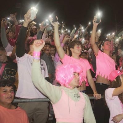 Pinelands Student Section 🎸