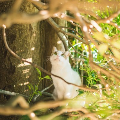 Squareb68797562's profile picture. Simple & Like freedom
📸🐣🛸