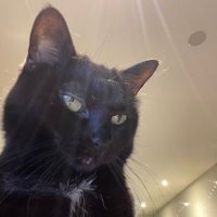 Jessica (@jessderventzis) 's Twitter Profile Photo