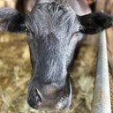 corey osborne - @Tcog83 - Twitter