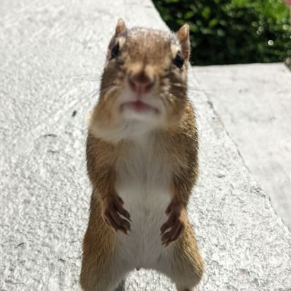 ToddObr11806472's profile picture. Expat Canadian living in NH | INFJ | Elon fanboy | wilderness camper | yoga enthusiast

"Very well then I contradict myself, I am large, I contain multitudes."