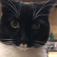 Thomas Deborah (@badger9451) 's Twitter Profile