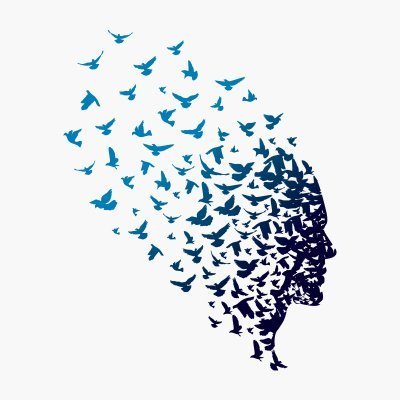 The Freedom Initiative Profile