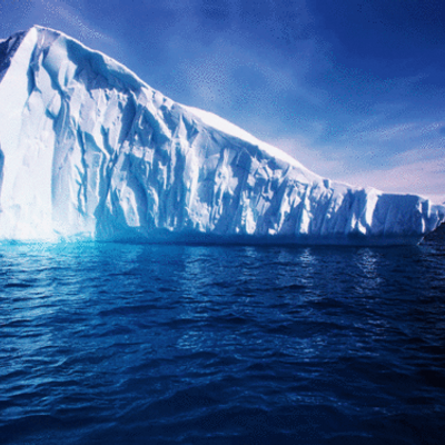 icecold i c e c o l d twitter