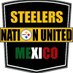 Steelers Nation United Mexico (@SteelersNUM) Twitter profile photo