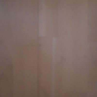 jordimane's profile picture. traduttore traditore