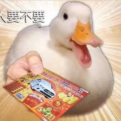 にやチュチュさんのプロフィール画像