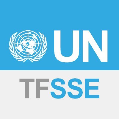 The UN Inter-Agency Task Force on Social and Solidarity Economy (UNTFSSE) aims to raise the global visibility of the Social and Solidarity Economy (SSE).