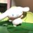 nyan_numao1